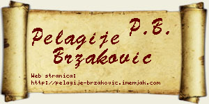 Pelagije Brzaković vizit kartica